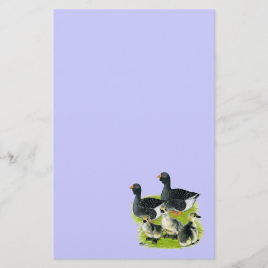 Toulouse Goose Briefpapier (Voorkant)