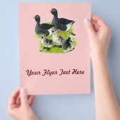 Toulouse Goose Flyer (Hand)