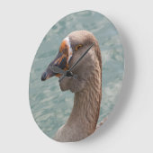 Toulouse Goose Grote Klok (Hoek)