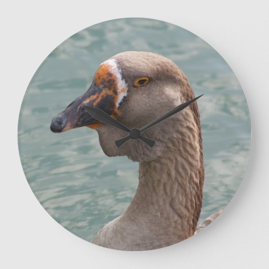 Toulouse Goose Grote Klok (Voorkant)