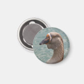 Toulouse Goose Magneet (Voorkant / Achterkant)