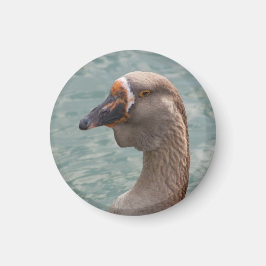 Toulouse Goose Magneet (Voorkant)