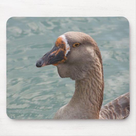 Toulouse Goose Muismat (Voorkant)