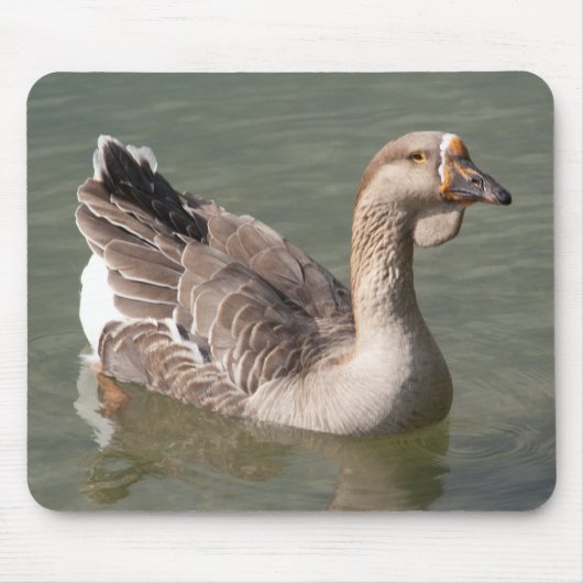 Toulouse Goose Muismat (Voorkant)