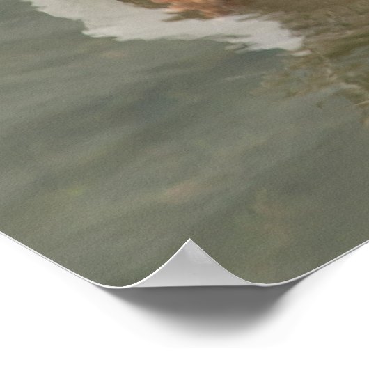 Toulouse Goose Poster (Hoek)