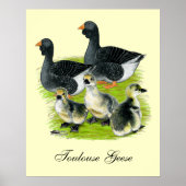 Toulouse Goose Poster (Voorkant)