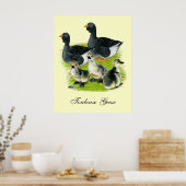Toulouse Goose Poster (Keuken)