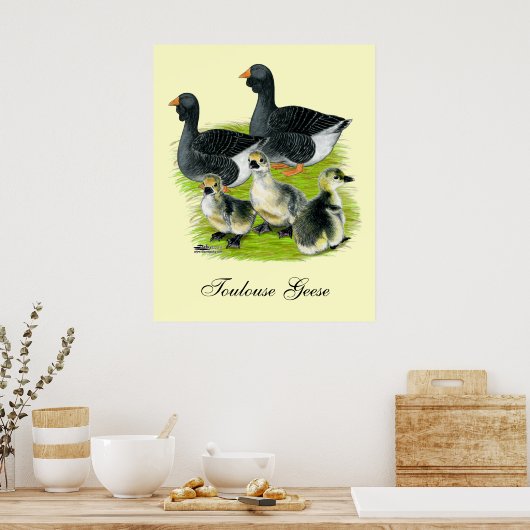 Toulouse Goose Poster (Keuken)