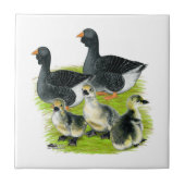 Toulouse Goose Tegeltje (Voorkant)