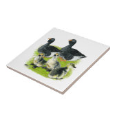 Toulouse Goose Tegeltje (Zijkant)