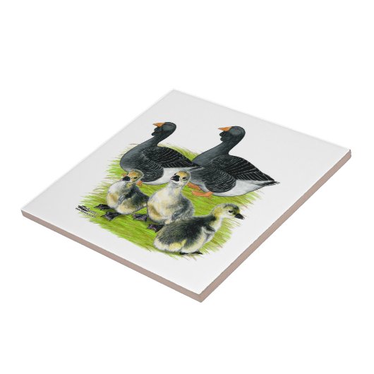 Toulouse Goose Tegeltje (Zijkant)