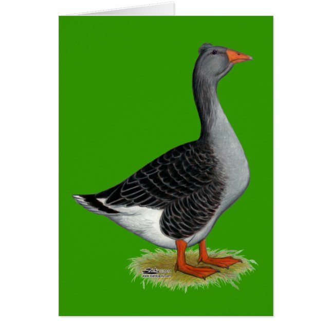 Toulouse Goose Tufted (Voorkant)