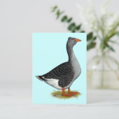 Toulouse Goose Tufted Briefkaart (Staand voorkant)