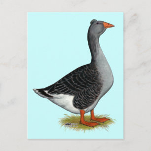 Toulouse Goose Tufted Briefkaart