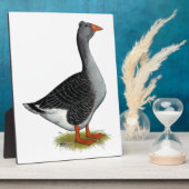 Toulouse Goose Tufted Fotoplaat (Zijkant)