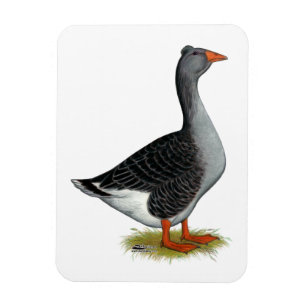 Toulouse Goose Tufted Magneet