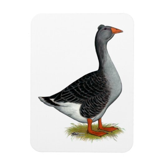 Toulouse Goose Tufted Magneet (Verticaal)