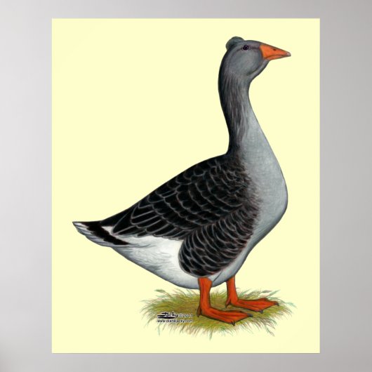 Toulouse Goose Tufted Poster (Voorkant)