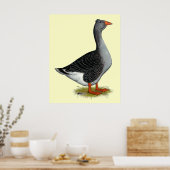 Toulouse Goose Tufted Poster (Keuken)