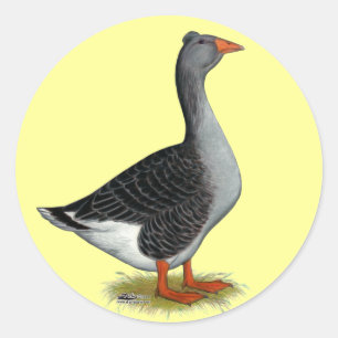 Toulouse Goose Tufted Ronde Sticker