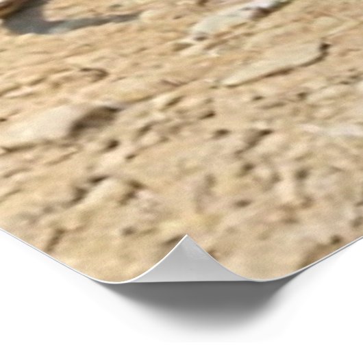 Tour de France 1921 na de etappe Beer Time Colo Poster (Hoek)