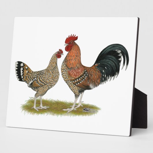 Tournaisis Bantams Fotoplaat (Zijkant)