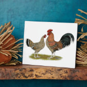 Tournaisis Bantams Fotoplaat (Zijkant)