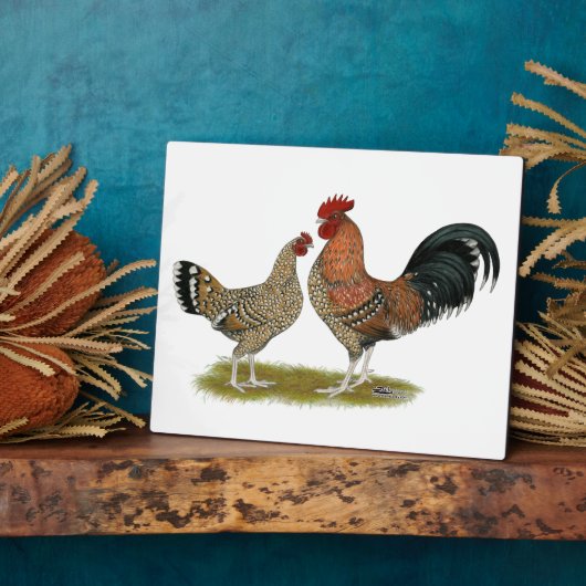 Tournaisis Bantams Fotoplaat (Zijkant)