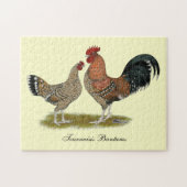 Tournaisis Bantams Legpuzzel (Horizontaal)