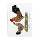 Tournaisis Bantams Magneet (Verticaal)