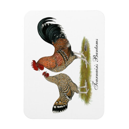 Tournaisis Bantams Magneet