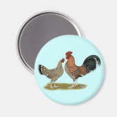 Tournaisis Bantams Magneet (Voorkant / Achterkant)