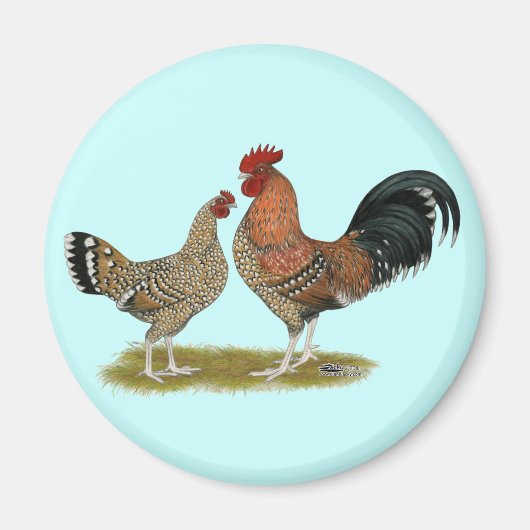 Tournaisis Bantams Magneet (Voorkant)