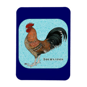 Tournaisis Rooster Magneet