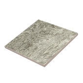 Tournus, Lonsle Saunier Tegeltje (Zijkant)