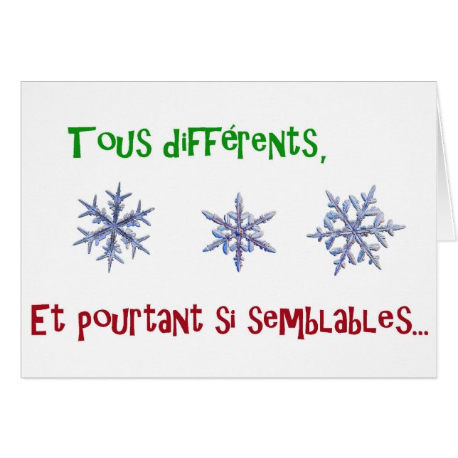 tous différents et pourtant si semble (Voorkant Horizontaal)