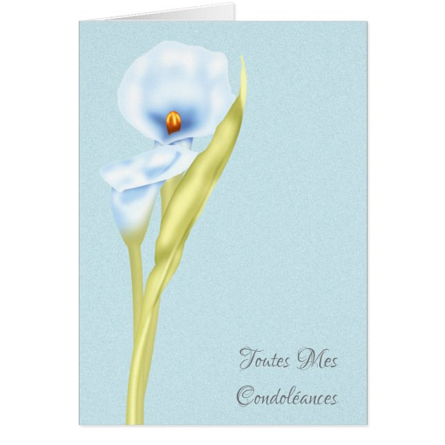 Toutes Mes Condoleances French Simply Stated (Voorkant)