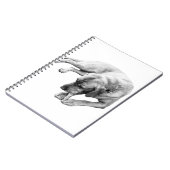 Touw en reflectie notitieboek (Linkerzijde)