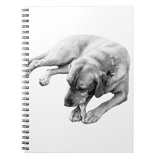 Touw en reflectie notitieboek (Voorkant)
