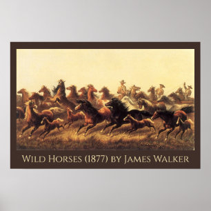 Touwen van Wilde Paarden door James Walker Poster