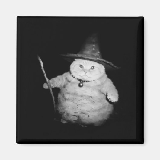 tovenaar kat raar grappig Halloween kat meme Magneet (Voorkant)