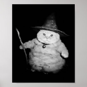 tovenaar kat raar grappig Halloween kat meme Poster