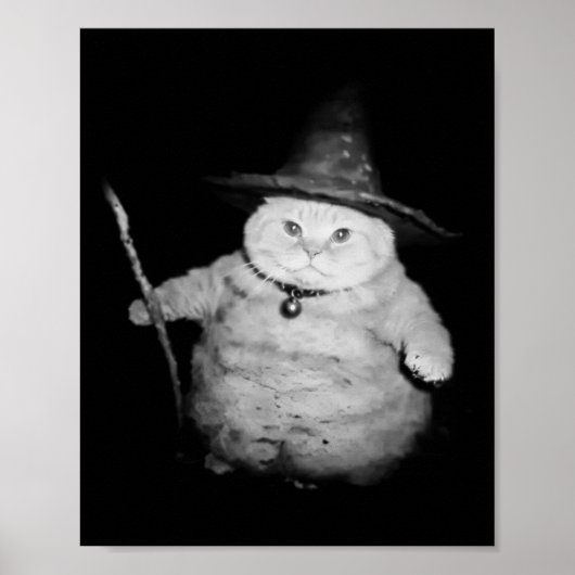 tovenaar kat raar grappig Halloween kat meme Poster (Voorkant)
