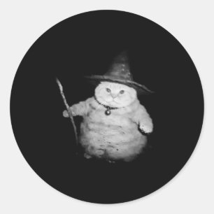 tovenaar kat raar grappig Halloween kat meme Ronde Sticker