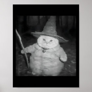 Tovenaar Kat Vreemd Grappig Halloween Kat Meme Poster