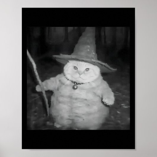 Tovenaar Kat Vreemd Grappig Halloween Kat Meme Poster (Voorkant)