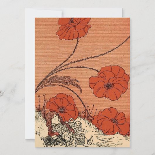 Tovenaar van Oz (Voorkant)