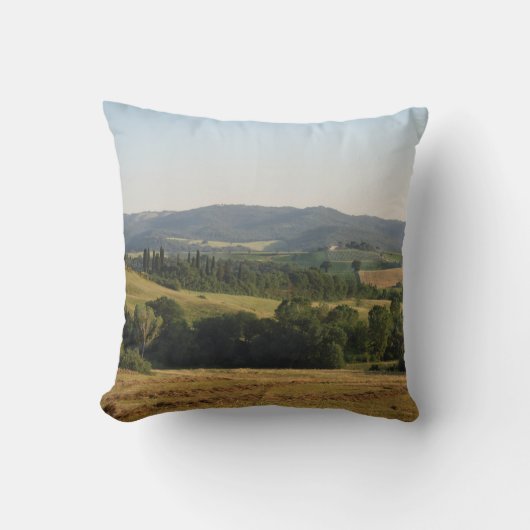 tovenares kussen (Voorkant)