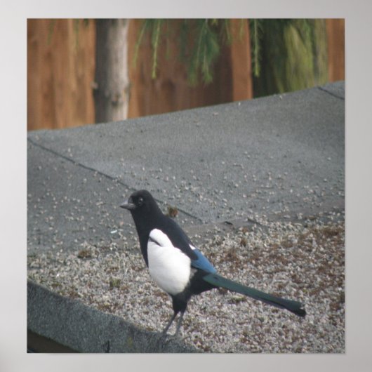 Toverig afdrukken poster (Voorkant)