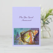 TOVERVLINDER KAART (Staand voorkant)